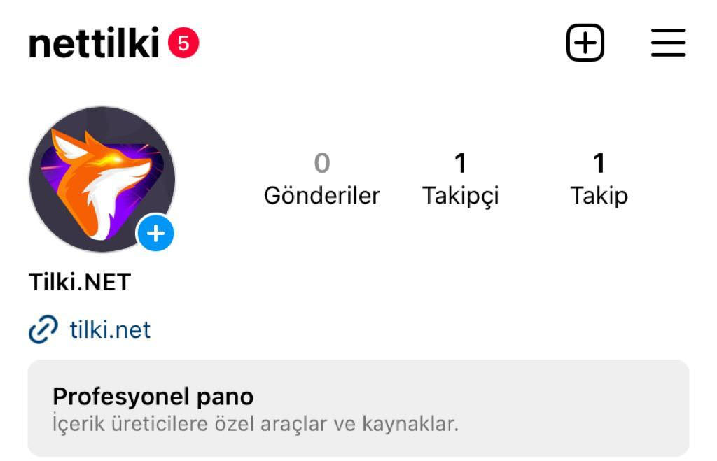 Instagram Profil Linki Almak